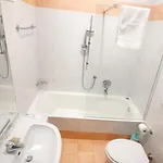 酒店 布洛利亚酒店 西尔米奥奈